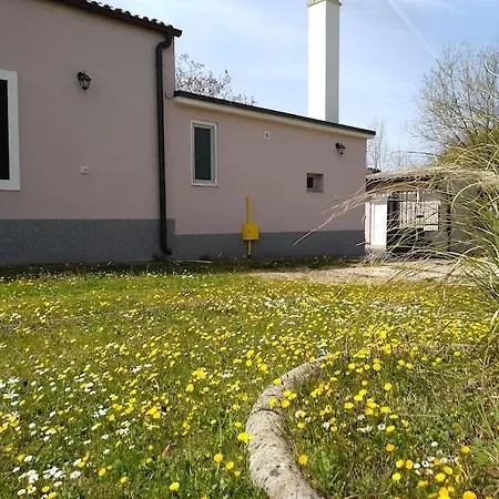 Holiday home Kuca Lilla
