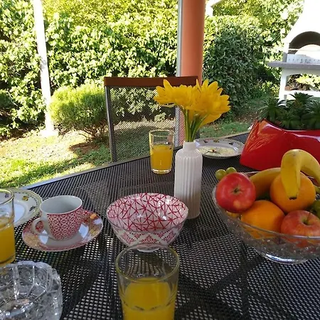 Kuca Lilla Dom wakacyjny