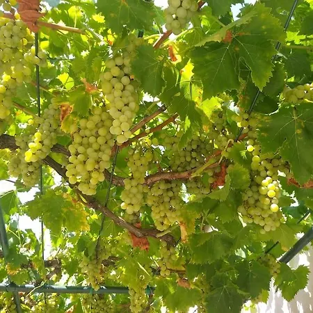 Casa vacanze Kuca Lilla